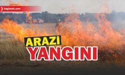 Serhatköy'de yangın çıktı; 53 adet asma ağacı yandı...