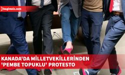 Kanada'da milletvekillerinden 'pembe topuklu' protesto