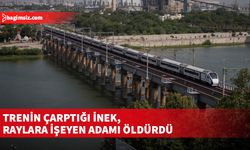 İneğe 30 metre uzaklıktaki adam, ölümden kaçamadı