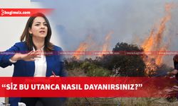 TDP Genel Başkanı Atlı, “Yangın helikopterimizin olmamasından utanıyorum” dedi