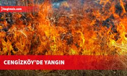 Yangın, muhtemelen gerilim hattının kısa devre yapması sonucu çıktı