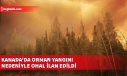 Kanada'nın Alberta eyaletinde orman yangınları nedeniyle OHAL ilan edildi