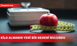 Bulgular, kilo alımını engellemeye yönelik yeni tedavilerin geliştirilmesini sağlayabilir