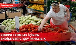 Güney Kıbrıs’ta yapılan bir araştırmada endişe verici unsurun “pahalılık” olduğu tespit edildi