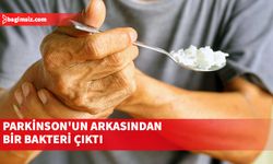 Bir bakteri türünün Parkinson hastalığının gelişiminde önemli bir rol oynadığı ortaya çıktı