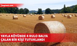 Yayla köyünde 4 rulo balya çalan bir kişi tutuklandı