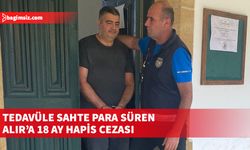 Mahkeme, Sahte Banknot tasarrufu ve tedavüle sürme suçlarıyla yargılanan Ademe Alır’a 18 ay hapis cezası verdi