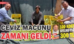 Ceviz macunu zamanı geldi