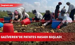 Mutfakların vazgeçilmezi patatesin hasat zamanı geldi… 