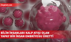 Bu embriyo modelinin genetik bozukluklara dair önemli ipuçları verebileceği belirtildi