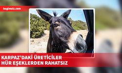  “Karpaz halkı, 40 yıldır aynı sorunu konuşmaktan ve sadece bu sorun etrafında dönen siyasi hamlelerden usanmıştır”