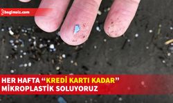 Araştırmaya göre mikroplastikler, burun boşluğunda veya boğazın arka kısmında yoğun halde toplanıyor