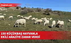 H.H.B., “Kasti hasar” ve “Mülke tecavüz” suçlarını işlediği gerekçesiyle tutuklandı