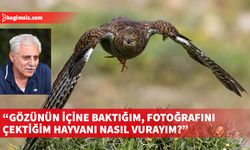 Avcılıktan kuş fotoğrafçılığına geçişin hikâyesi