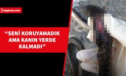 Çevre Koruma Dairesi’nin dün karayılan öldüren bir kişiye cezai işlem uyguladığı bildirildi