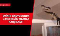 10 kiloluk yılan doğaya salındı