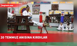 Taekwondo Karate Judo Federasyonu tarafından Kırış şampiyonası düzenlendi