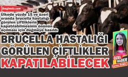 Brucella hastalığı görülen çiftlikler kapatılabilecek