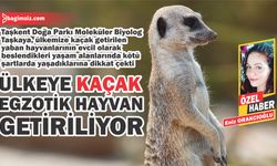 Taşkent Doğa Parkı Moleküler Biyolog Taşkaya, ülkemizde biyokaçakçılık suçunun yaygınlaşmaya başladığını söyledi