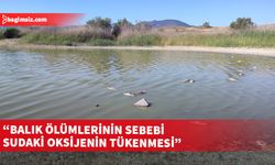 Gönyeli Alayköy Belediyesi ve Taşkent Doğa Parkı yetkilileri Gönyeli Barajı’ndaki balık ölümlerini inceledi