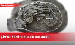 Çin’de 125 milyon yıl öncesine ait dinozor ve ona saldıran memelinin fosili bulundu