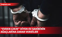 Ev sahibine sinirlendiler, acısını ağaçlardan çıkardılar