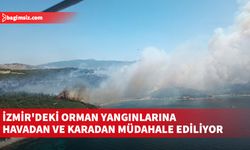 Ekipler havadan ve karadan müdahale ediyor