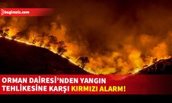 Tüm ateşli piknik alanları ve ormanlara girişler 28 Temmuz’a kadar yasaklandı