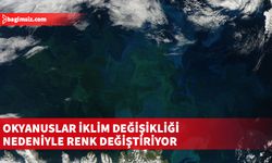 NASA uyduları, okyanusların yarısından fazlasının yeşil renge döndüğünü gösteriyor