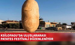 Festival, 7-8 Eylül tarihlerinde gerçekleştirilecek