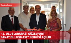 Güzelyurt Sanat Buluşması kapsamında sanatçıların yaptığı eserlerin yer aldığı serginin açılışı yapıldı