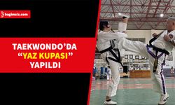 Yaz Kupası Taekwondo Müsabakaları” 12 Temmuz 2023 tarihinde gerçekleştirildi   