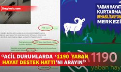 Taşkent Doğa Parkı Direktörü Basat, yardıma ihtiyacı olan yaban hayvanları için 1190'ın aranması gerektiğini söyledi