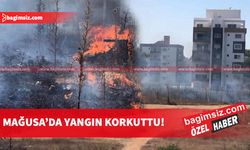 Kaliland Bölgesi’nde bulunan apartmanların yanında başlayan yangın korku yarattı