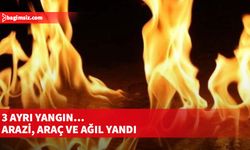 Arazi, araç ve ağıl yangını