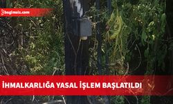 Yılan Adası’ndaki yangının kamyon damperinin elektrik tellerine çarpması sonucu çıktığı bildirildi