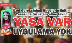 Özel Gereksinimli Bireylerin Eğitimi Yasası da tüzük engeline takıldı