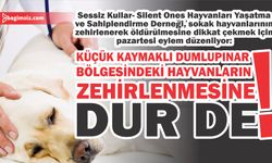 Hayvan severler “Vahşete dur demek için” sokağa iniyor…