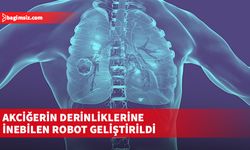 Akciğerin derinliklerine inebilen bir robot kanser teşhis ve tedavisinde devrim yaratabilir