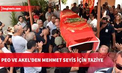 PEO ve AKEL Mehmet Seyis için taziye açıklaması yayımladı