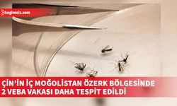 7 Ağustos’ta bir kadında tespit edilen veba türü şimdi ise aynı kişinin kocası ve kızında görüldü