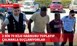 Zanlıların avukatı,  harnupların çalınmadığını, ağaçların kiralandığını ve yere düşen harnupların toplandığını savundu