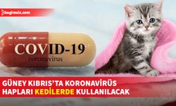 Koronavirüs haplarıyla kedilerdeki “FIP” hastalığı tedavi edilecek