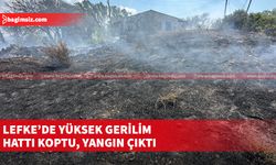 Yangın soncunda iki dönümlük arazi içerisindeki ağaçlar ve kuru otlar yandı