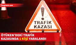 Yoldan çıkan araç yol kenarında evin bahçe duvarına ve elektrik direğine çarparak durdu