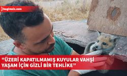 Taşkent Doğa Parkı, üzeri kapatılmamış kuyuların doğadaki vahşi hayvanlar için büyük bir tehlike olduğunu belirtti