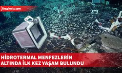 Pasifik'te tarihi keşif: Derinliklerde gizlenen yepyeni bir ekosistem keşfedildi