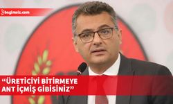 CTP Genel Başkanı Erhürman, harnup üreticilerinin ürünlerinin elinde kaldığını vurguladı