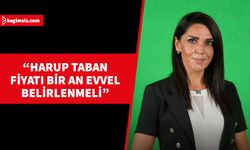 CTP Milletvekili Kürşat, üreticinin emeğinin karşılığını alması gerektiğini söyledi