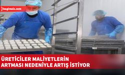 Güney Kıbrıs’ta hellim üretimi için süt fiyatları konusunda anlaşmazlık yaşanıyor